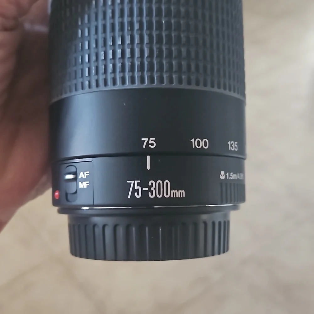 Canon EOS Rebel T3 DSLR - Picture 7 of 11